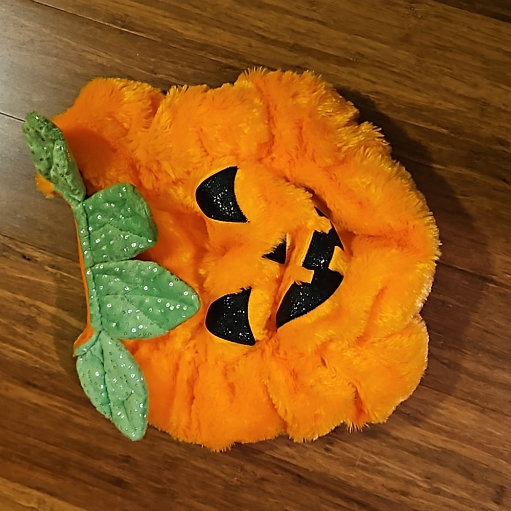 Pet pumpkin costume - Small